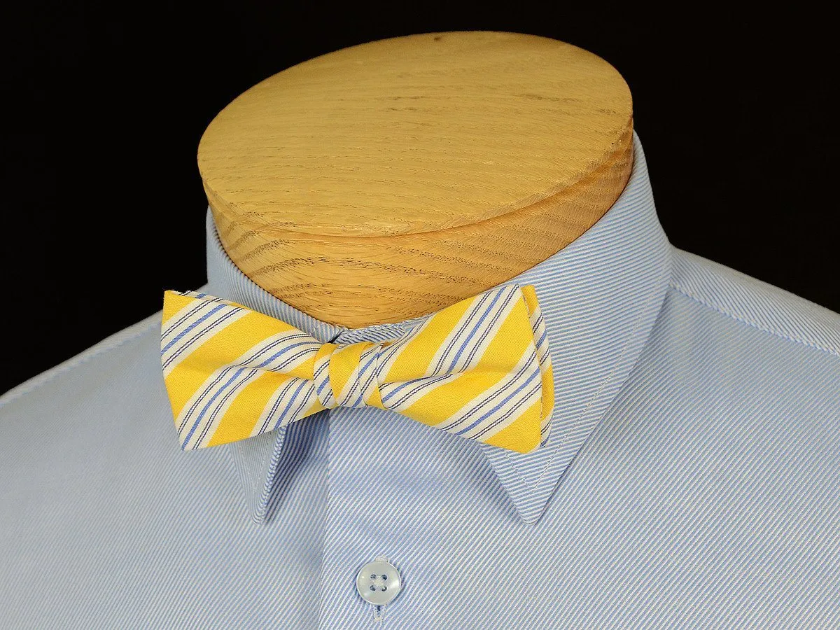 Boy's Tie 17808 Yellow/Blue Stripe