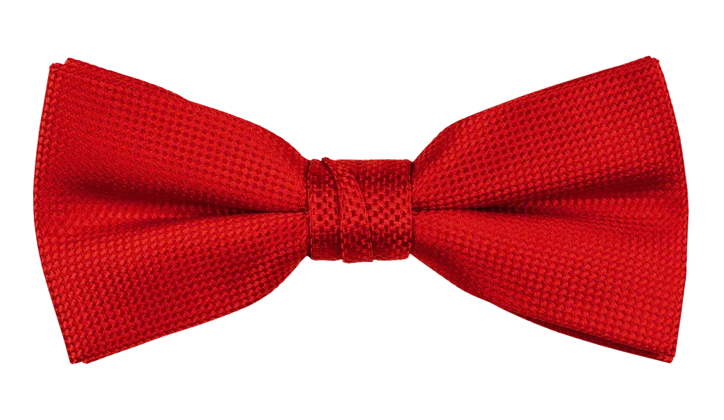 Carlo Visconti Bow Ties