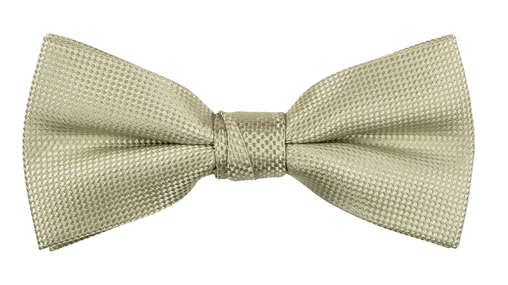 Carlo Visconti Bow Ties