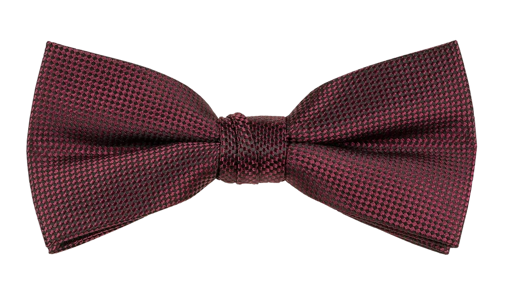 Carlo Visconti Bow Ties