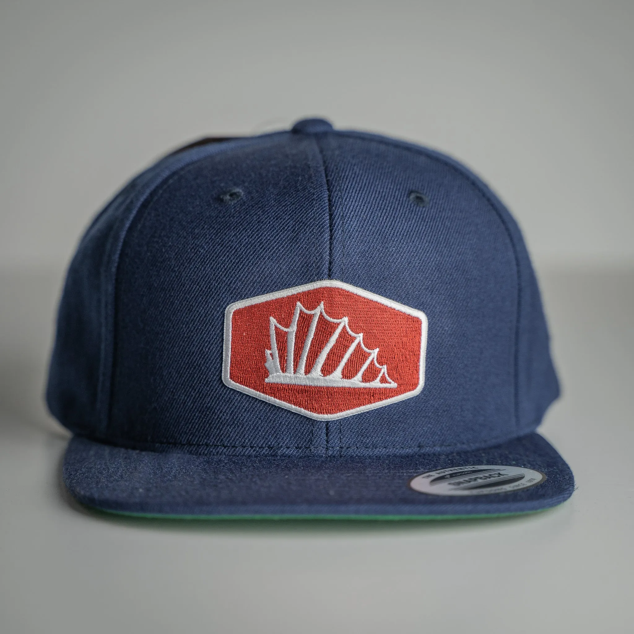 'Fin Up Shield' Snapback