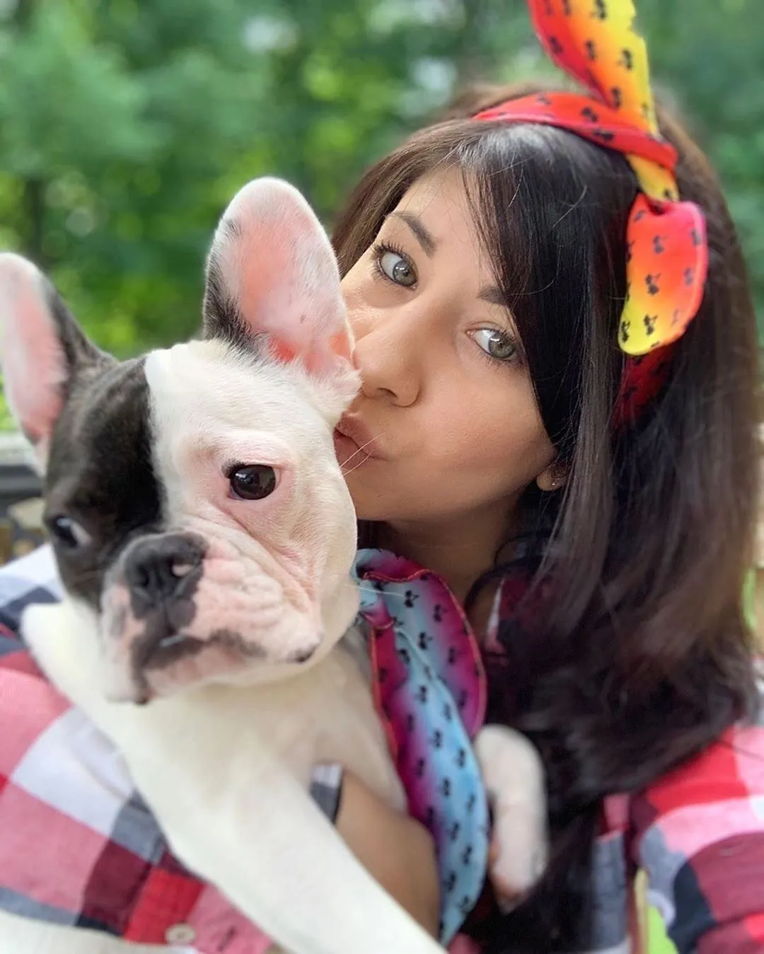 Frenchiestore Pet Scarf |  California Dreamin'