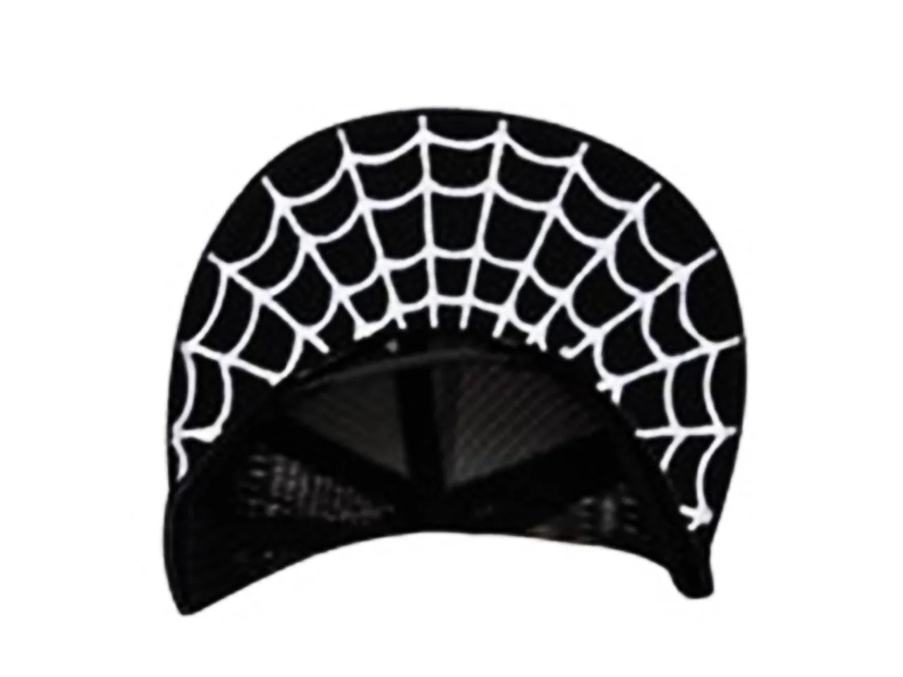 Heathen Spiderweb Trucker